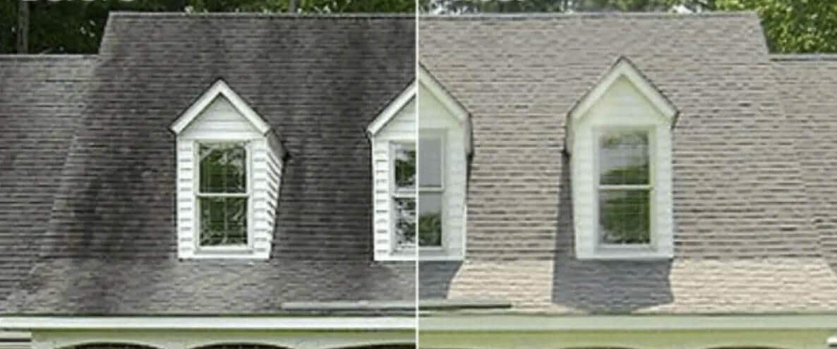 Roof cleaning before and after